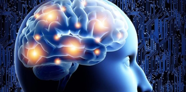 psiconeuroendocrinologia.